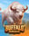 Buffalo Horizon